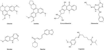 Phytochemicals: Potential Lead Molecules for MDR Reversal